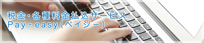 税金・各種料金払込サービス